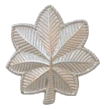 Lt Colonel